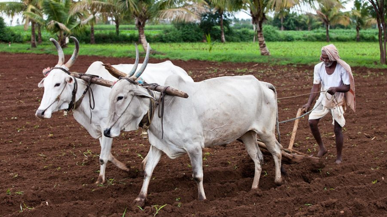 PM Kisan Maandhan Yojana